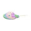 Spring Horseshoe Crab