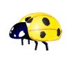 Insects