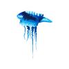 Blue Bottle Jellyfish