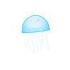Freshwater Jellyfish