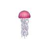 Glowing Pink Jellyfish