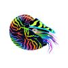 Colorsplash Nautilus