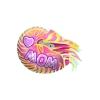 Mothers Day Nautilus