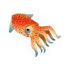 Atlantic Bobtail Octopus