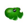 Tiny Color Change Octopus