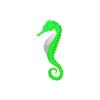 Colorful Seahorses