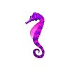 Purple Color Change Seahorse