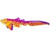 Spotted Color Change Zebra Shark