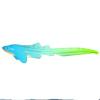 Tropical Color Change Zebra Shark