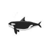 Baby Orca Classic
