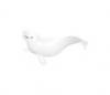 Beluga Whale