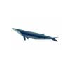 Brydes Whale