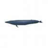 Feeding Blue Whale