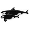 Mama & Baby Orca