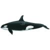 Orca Whale (reboot)