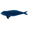 Right Whale