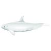 White Killer Whale