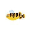 Bumble Pufferfish