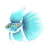 Aqua Brushtail Dreamfish