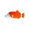 Bicolor Triggerfish
