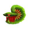 Festive Betta