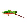 Festive Swordtail