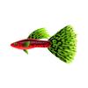 Guppy