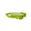 Green Arowana