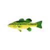 Green Bass