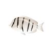 Convict Tang