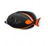 Orange and Black Tang