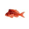 Red Hawkfish