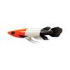 Tricolor Killfish