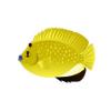 Flagfin Angelfish