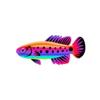 Groovy Badis