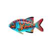 Groovy Sunrise Fish