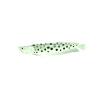 Polka Dot Arowana