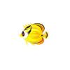 Yellow Heartfish