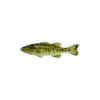 Guadalupe Bass