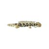 Bichir