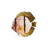 Heckle Discus