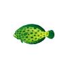 Flounders