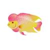 Golden Base Flowerhorn