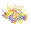 Peach Lionfish