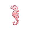 Bargibants Seahorse