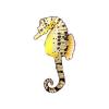 Seahorses