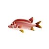 Long-Jawed Squirrelfish