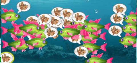 feed_fish2 Feeding Fish