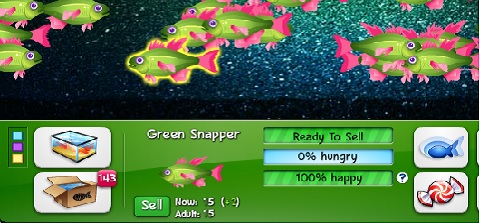 Selling Fish Individually